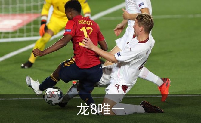 了解龙8唯一